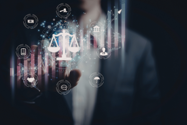 IT (Information Technology) Law